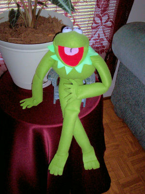 FROG 1